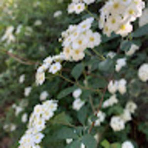 Meet your Posher, Christa